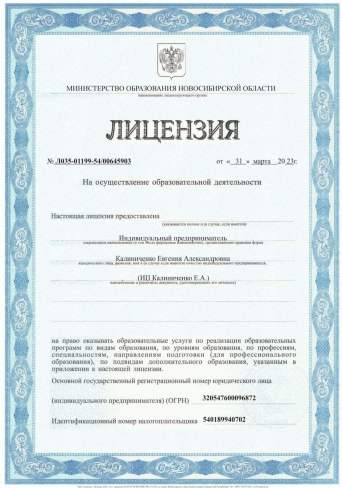 Лицензия школы (ИП Калиниченко Е.А.)